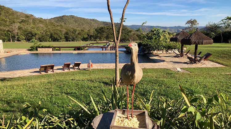 Roteiro Bonito MS: pontos turísticos, atrações e mais