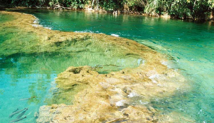 Bonito em Julho: é bom viajar nesta época?