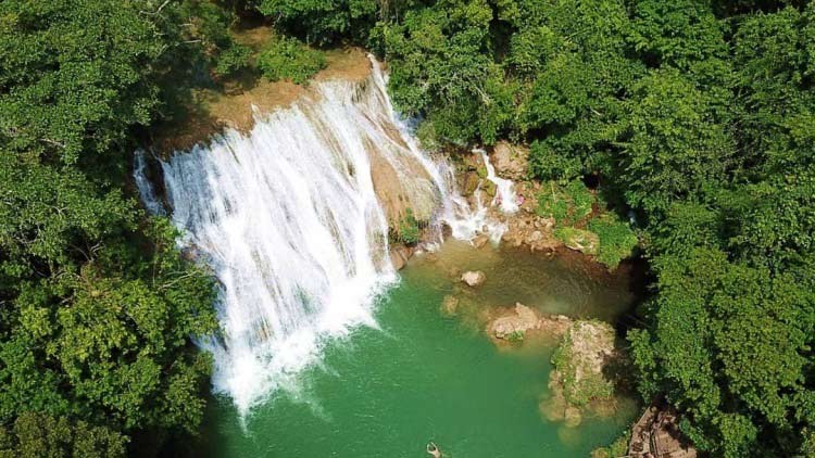 10 motivos para visitar o Pantanal sul mato-grossense!