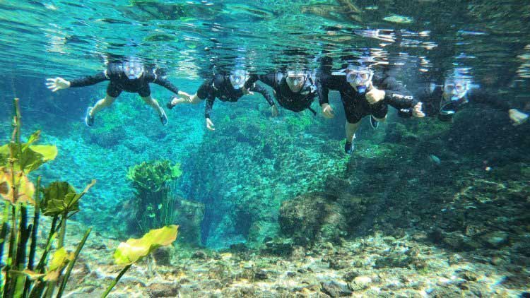 Vai Viajar em Família para Bonito? Conheça a Nascente Azul!