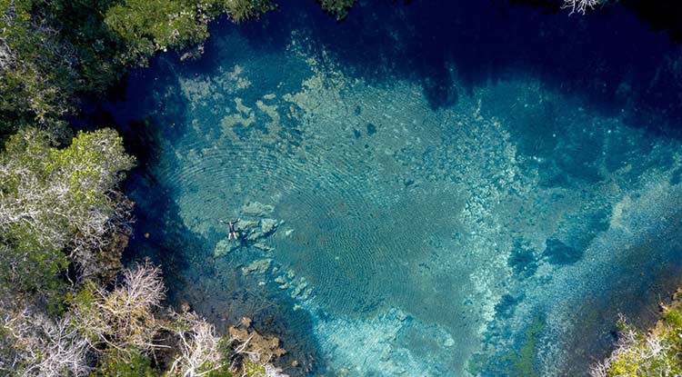 Bonito é Ótimo em Qualquer Temperatura