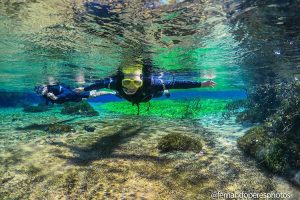 Flutuação Rio Sucuri em Bonito MS