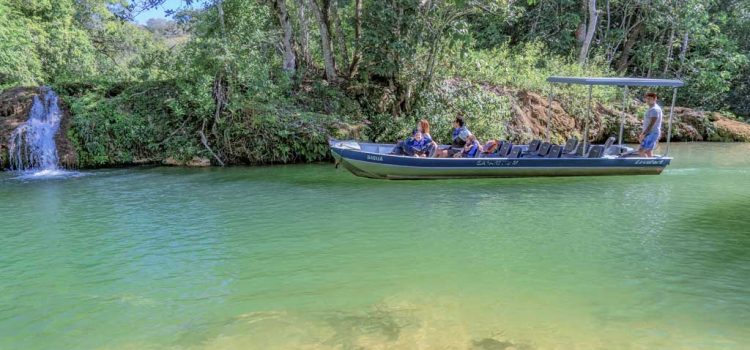 Entenda qual a diferença entre turismo e ecoturismo