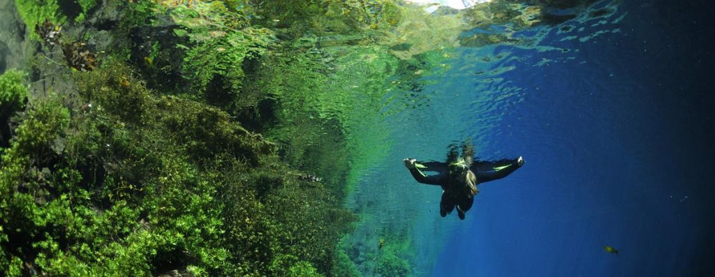 Lagoa Misteriosa - Jardim MS