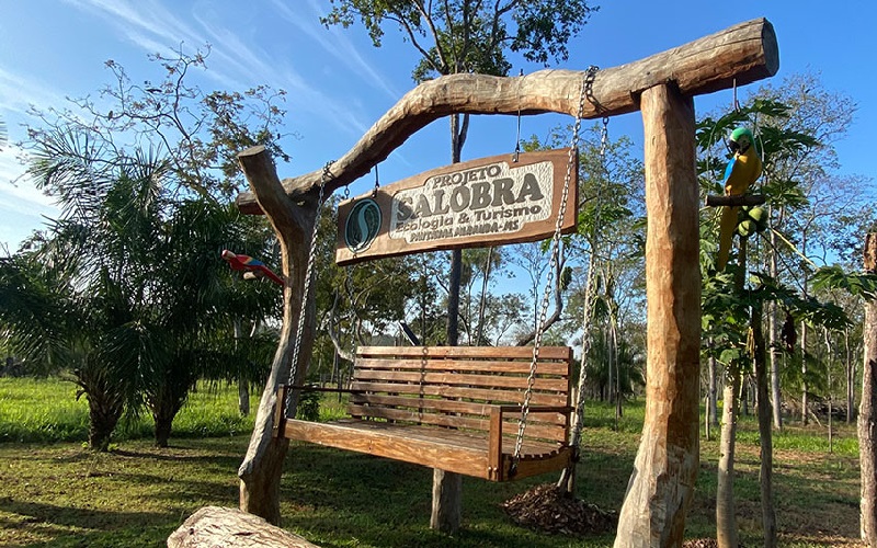Projeto Salobra: como é o passeio no coração do Pantanal Sul?