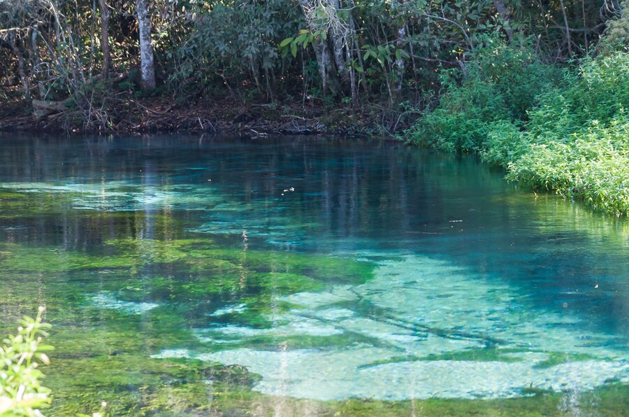 Aguas cristalinas Bonito MS 