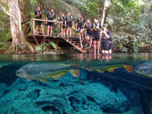 Flutuação no Aquário Natural de Bonito