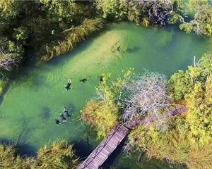 Flutuação no Canal da Lontra