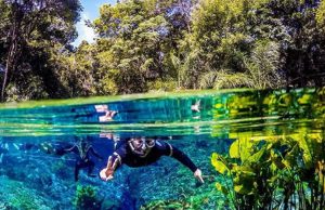 Nascente Azul em Bonito