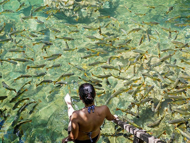Rio do Peixe: tudo que você precisa saber sobre o atrativo