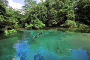 Flutuação Rio da Prata