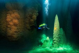 Mergulho Abismo Anhumas