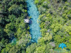 Flutuação em Bonito nascente ou rio