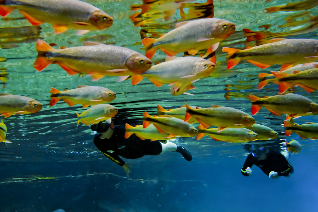 Flutuação Rio da Prata