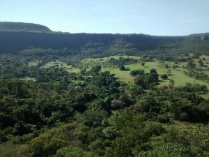 Mirante Mato Grosso do Sul - fauna e flora