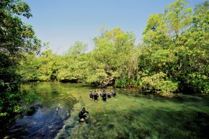 Recanto Ecológico Rio da Prata