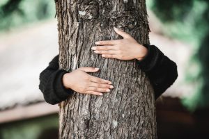 Cuidado com a natureza é levado a sério em Bonito