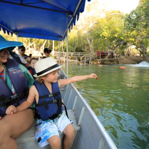 Passeio de barco elétrico Eco Park Porto da Ilha