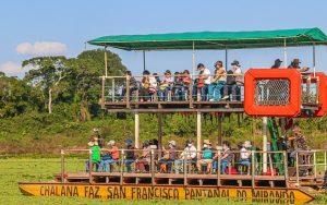 Passeio de chalana Fazenda San Francisco