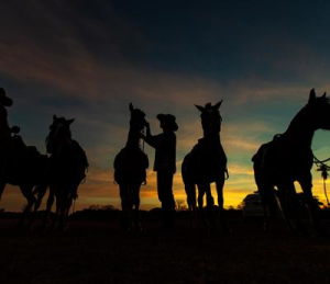 Cavalgada noturna em Bonito MS