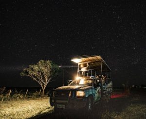 Focagem Noturna - Fazenda San Francisco em Miranda MS