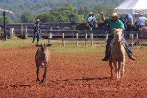 Festa de Clubes do Laço em Bonito MS