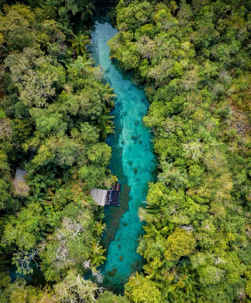 Águas cristalinas do Rio Sucuri cercadas por vegetação nativa em Bonito MS