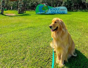 Em Bonito seu pet é recebido sempre com muita alegria.