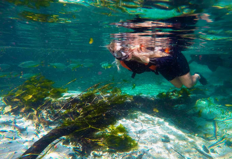 Por que visitar novamente Bonito MS? Por que visitar novamente Bonito MS?