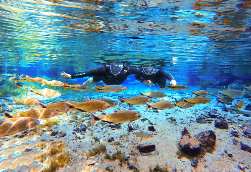 Como fazer um planejamento do tempo em Bonito MS: Como fazer um planejamento do tempo em Bonito MS: