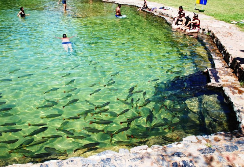 Descubra o melhor de Bonito MS sem gastar muito: roteiro e dicas de viagem low-cost para uma aventura econômica e inesquecível! Descubra o melhor de Bonito MS sem gastar muito: roteiro e dicas de viagem low-cost para uma aventura econômica e inesquecível!