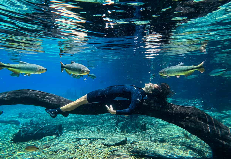 Onde fica o lugar mais bonito de Bonito MS? Onde fica o lugar mais bonito de Bonito MS?