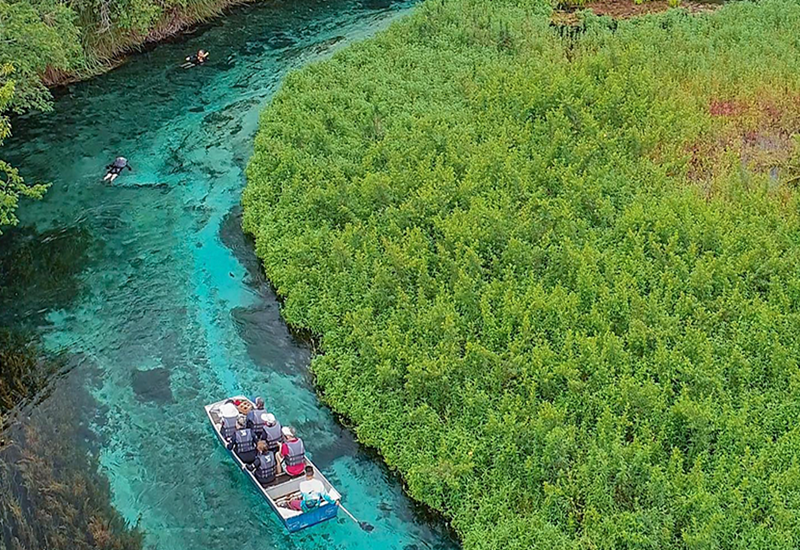 Descubra qual é o rio mais limpo do Brasil: