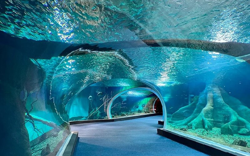 Conheça o Aquário do Pantanal: Bioparque em Campo Grande MS