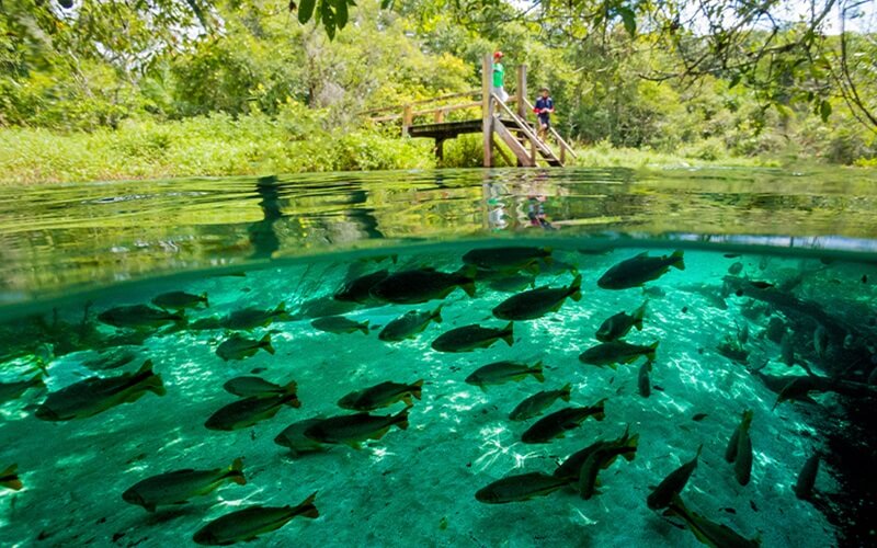 Calendário de Alta Temporada em Bonito (MS) 2026