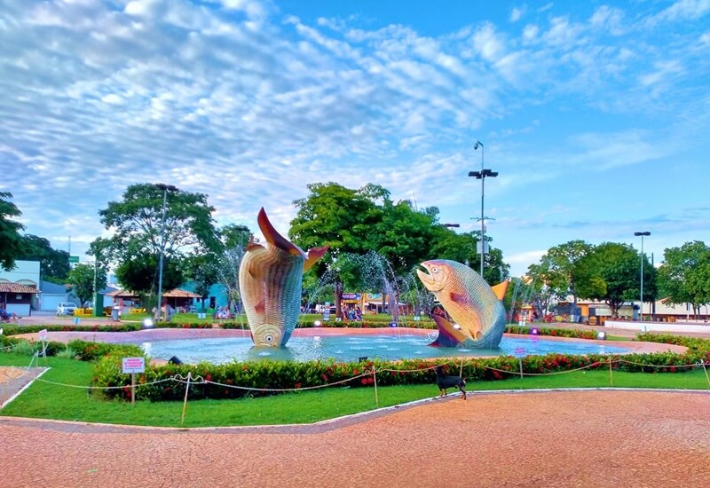 Cidades do Pantanal próximas a Bonito: guia completo de viagem