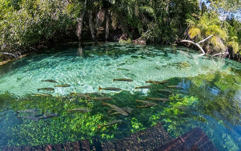 Quais São os Principais Rios em Bonito (MS)?