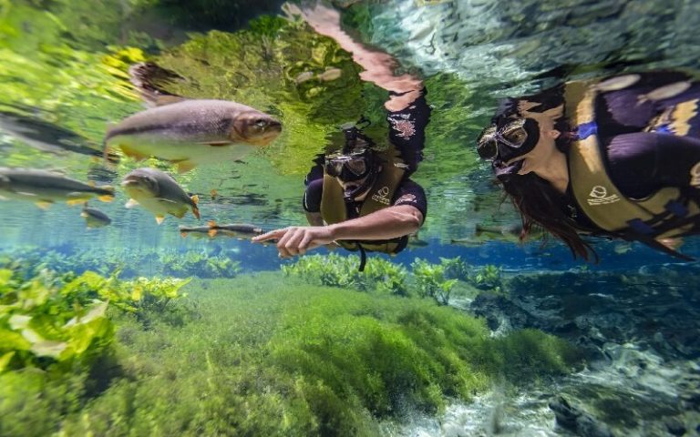 Vale a pena fazer flutuação no Aquário Natural em Bonito MS?