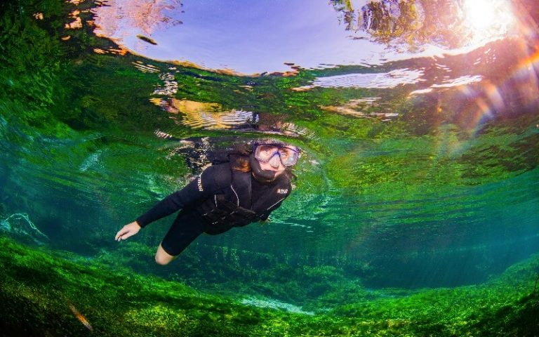 Rio Sucuri: o que está incluso no passeio de flutuação?