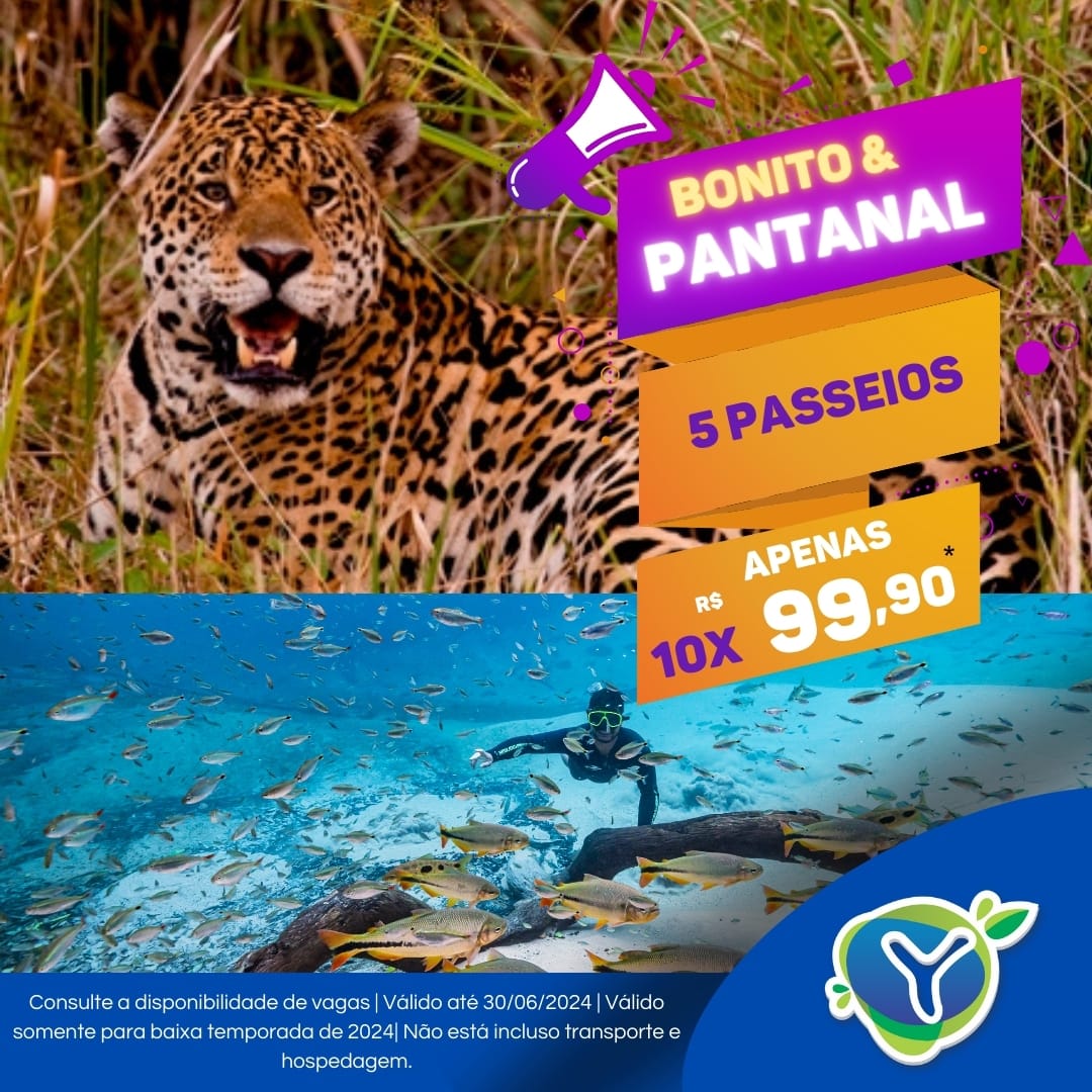 Pantanal & Bonito