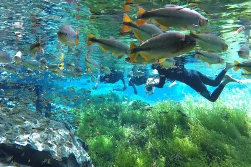 Aquário Natural Flutuação