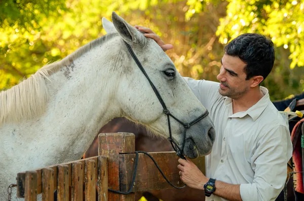 Cavalgada