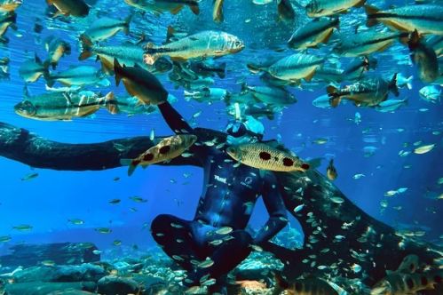 Recanto Ecológico Rio da Prata - Flutuação