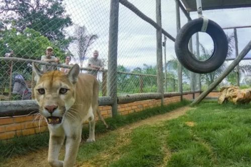 Bio Park - Visitação