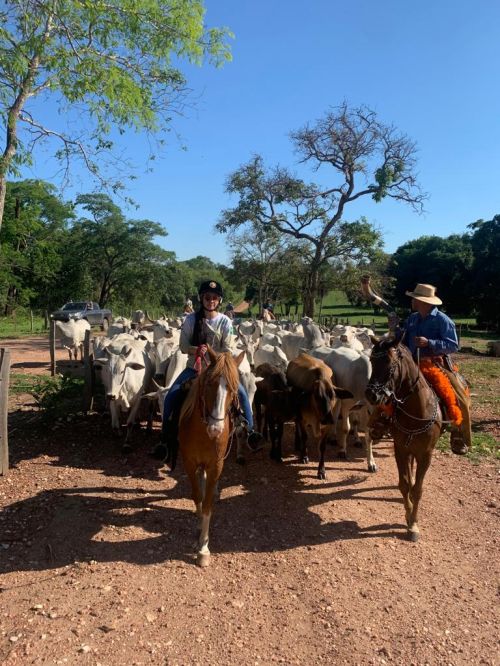 Cavalgada Pantanal - Eco Adventures Travel