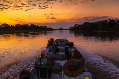 Pantanal Jungle Lodge - 3 dias e 2 noites